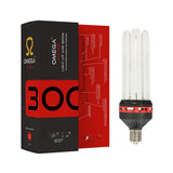 CFL Grow Bulbs – Red Propagation Lights