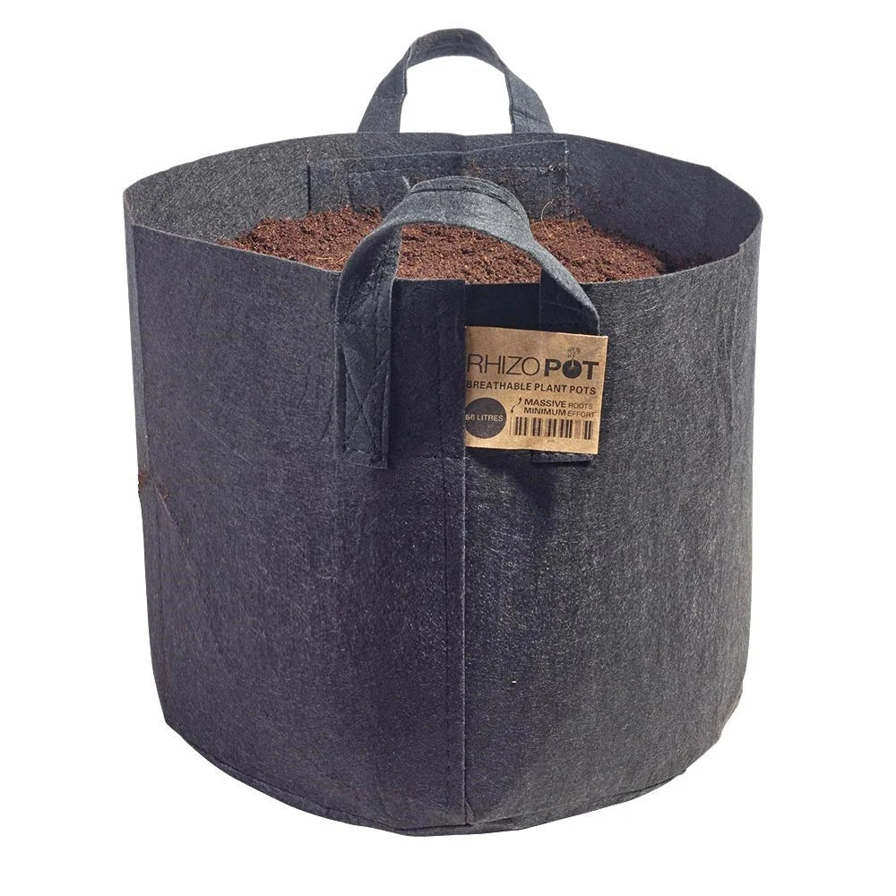 Fabric Pot - RhizoPot