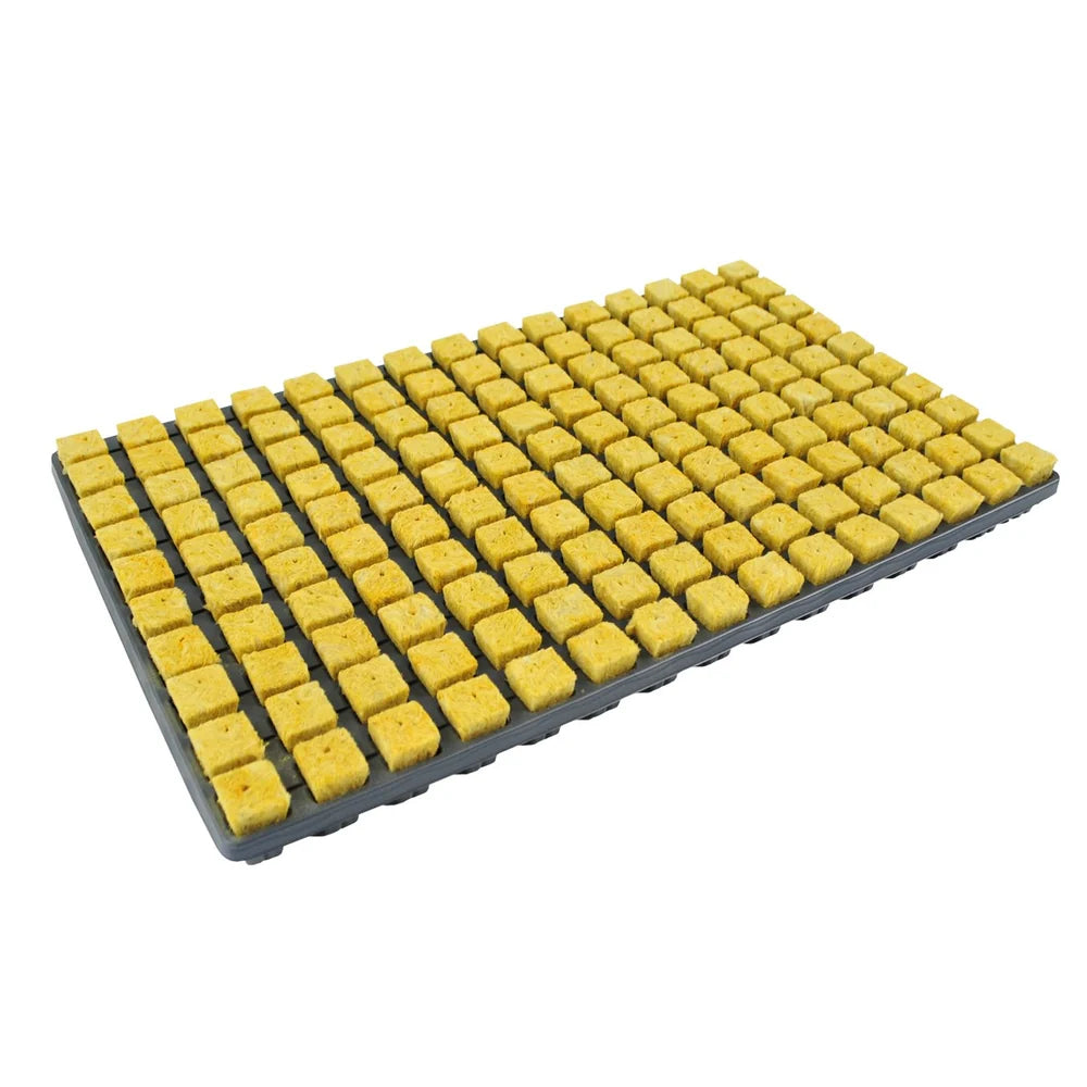 Cultiwool Rockwool CRB Tray