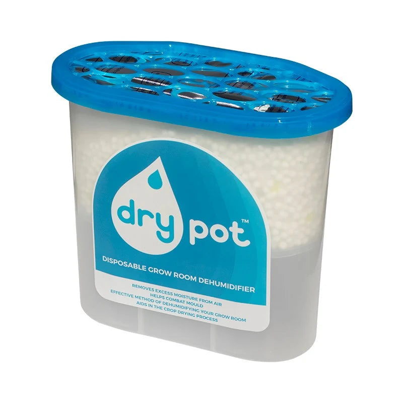 Dry Pot Disposable Dehumidifier