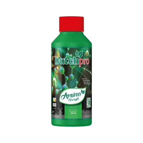 Dutch Pro Amino Strength