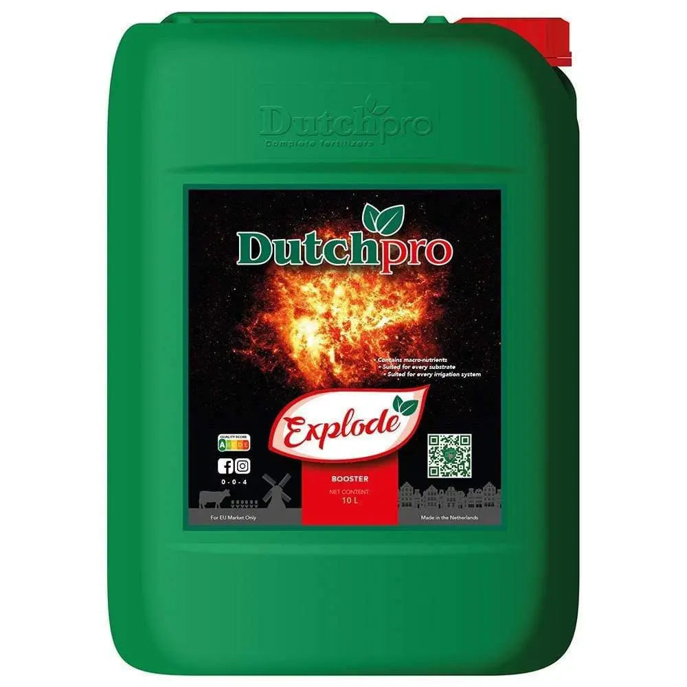 Dutch Pro Explode